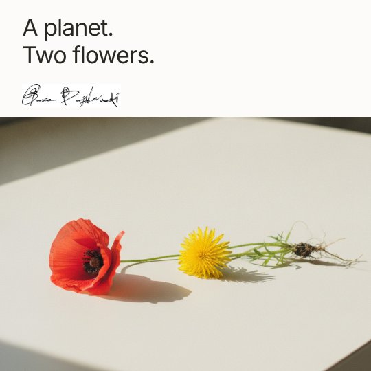 Facebook post designed by Synapis: A planet. Two flowers.