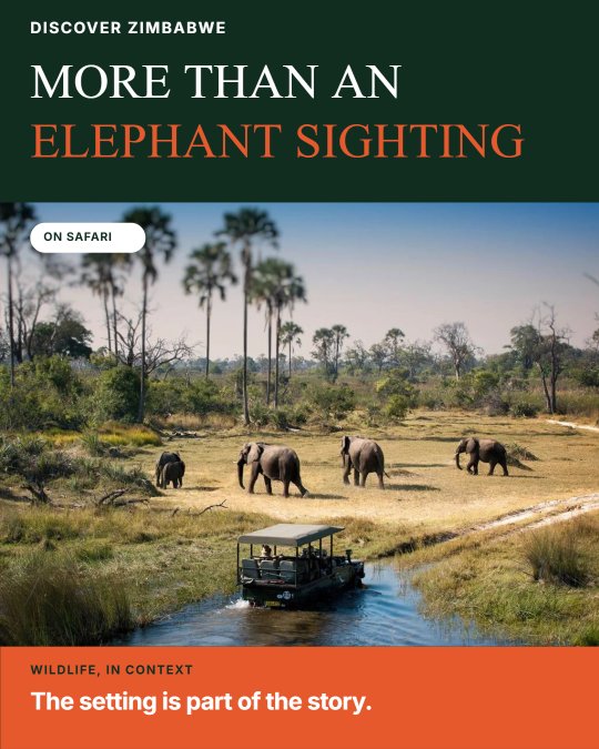 Social post designed by Synapis: More than an elephant sighting